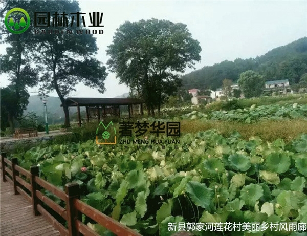 河南粉色视频导航风雨廊